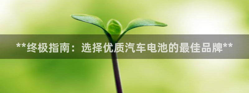 优发国际手机版唯一官网是什么