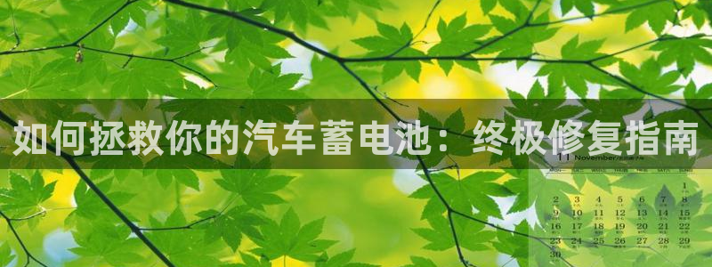 优发国际集团股份有限公司是国企吗