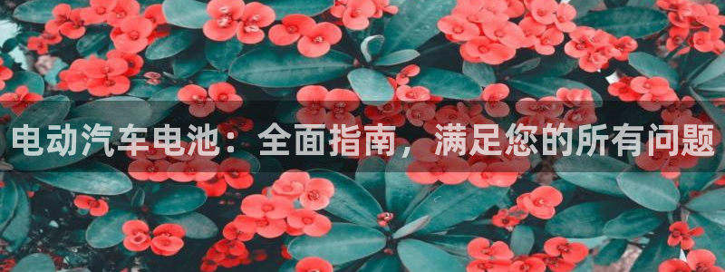 优发国际手机版下载官网