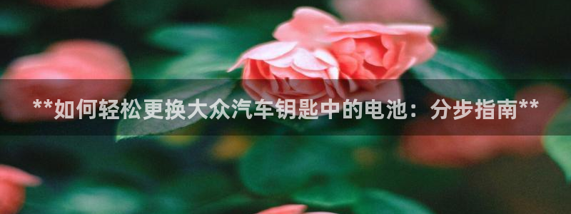 优发娱乐pc版官网