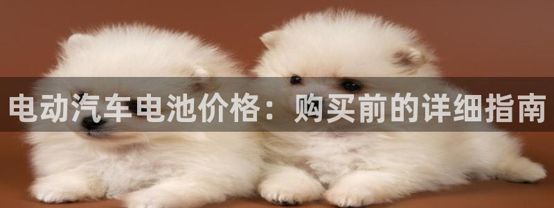 优发国际首页官网