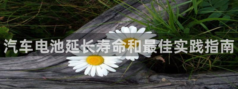 优发国际的官网是什么软件