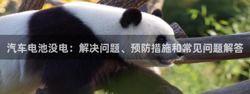 优发国际是什么