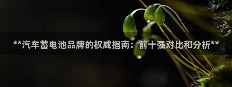 优发国际集团股份有限公司