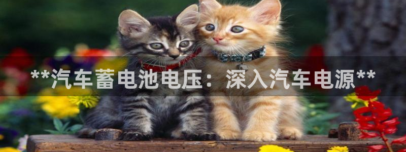 优发国际注册平台怎么样