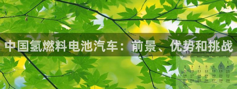 优发国际登陆