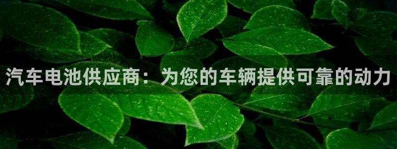 优发国际官网