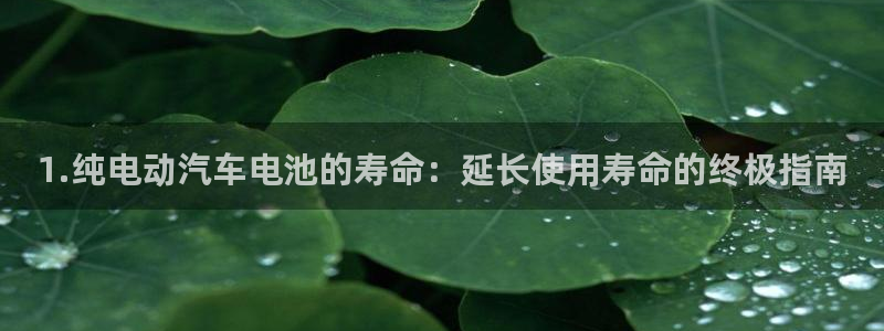 优发国际网页