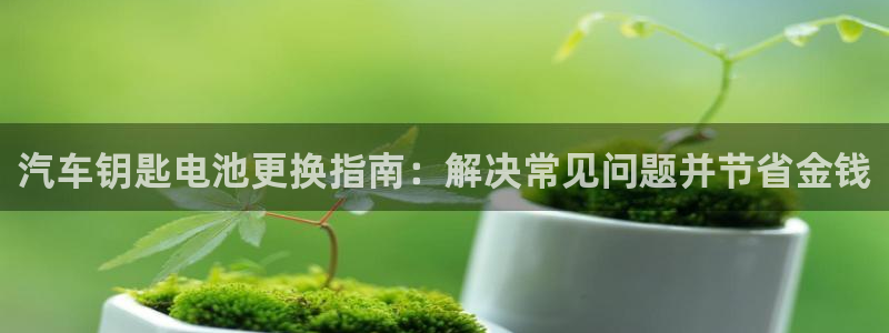 优发国际官网是多少