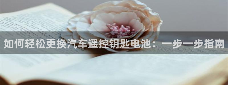优发国际集团股份有限公司是国企吗