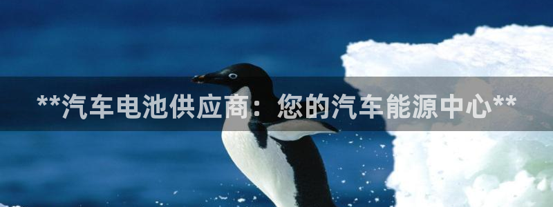 优发国际娱乐官网多少?