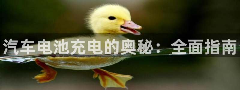 优发国际手机客户端下载安卓