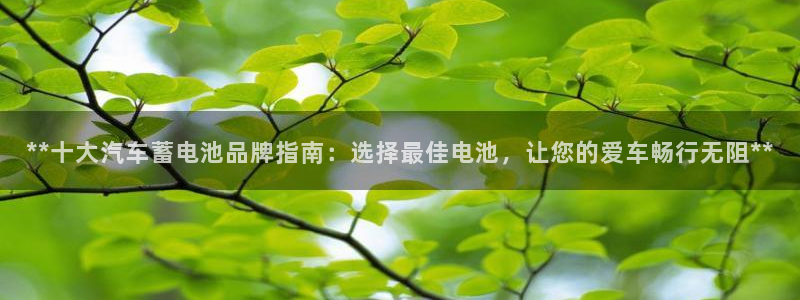 优发国际平台app下载苹果版
