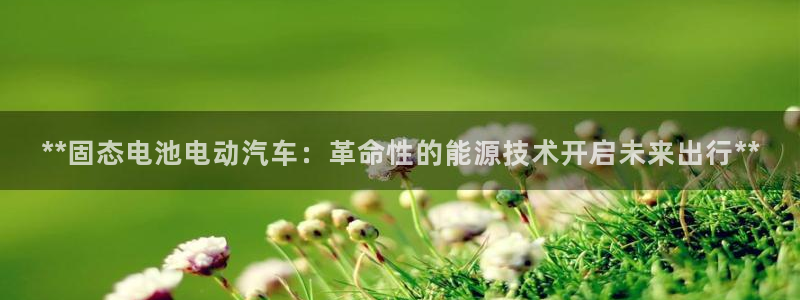 优发国际平台g80