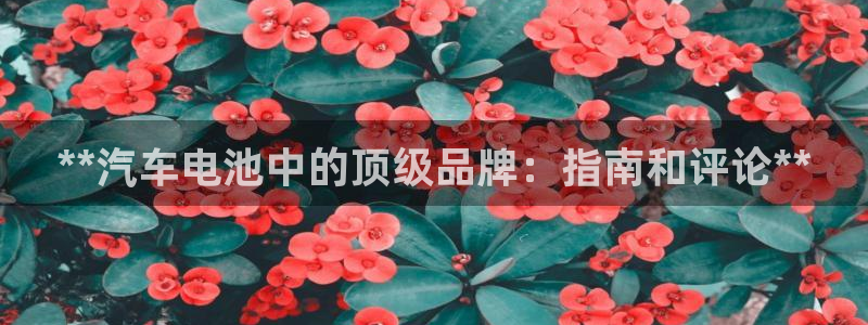 优发国际官网入口app下载苹果