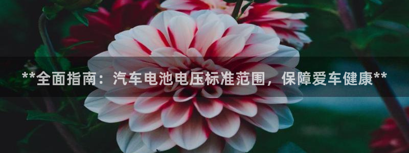 优发国际电话