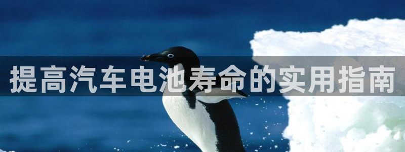 优发国际手机客户端下载不了