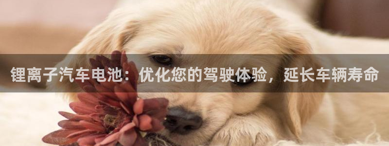 优发国际官网手机版下载安装