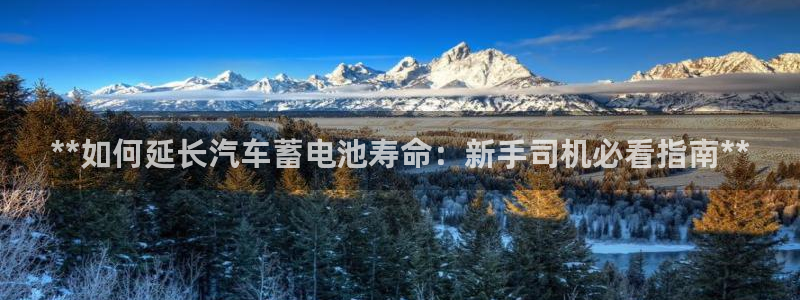 优发国际这个平台怎么样知乎