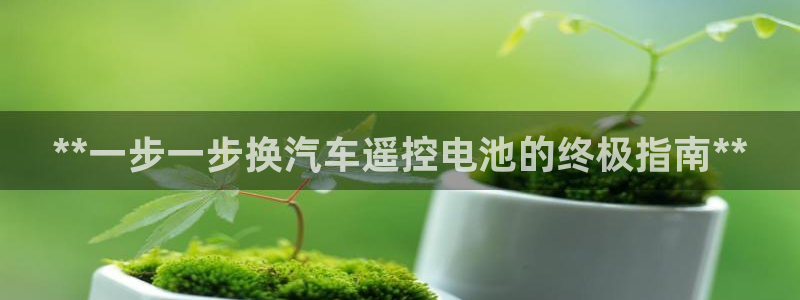 优发国际手机版下载官网