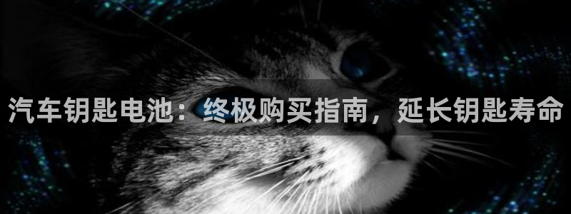 优发国际网官网17w8