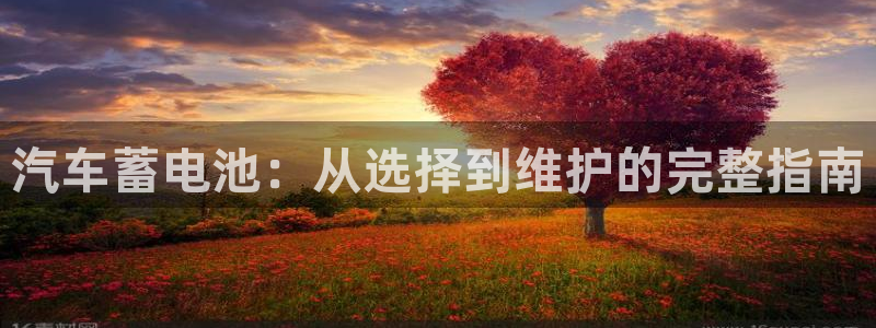 优发国际不出款怎么办