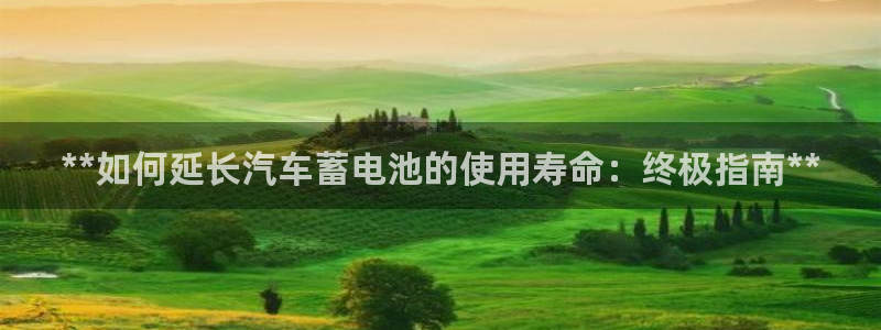 优发国际合并到哪里了啊