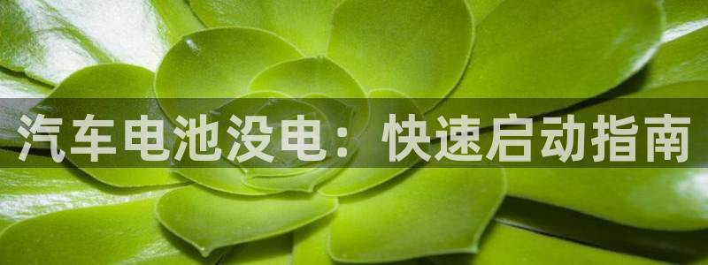 优发国际手机客户端下载安卓