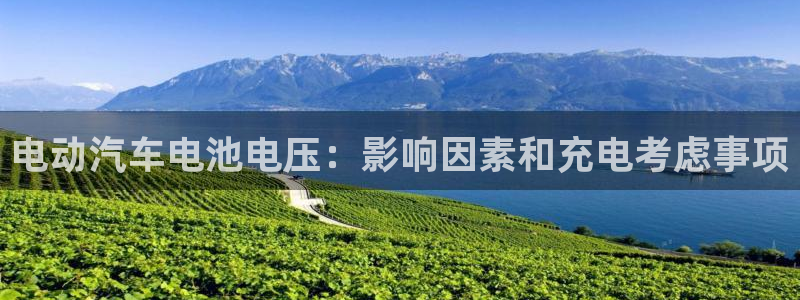 优发国际电话
