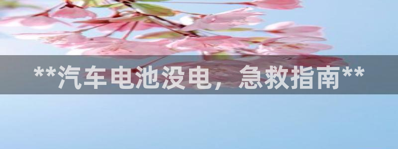 优发国际官网是多少号码