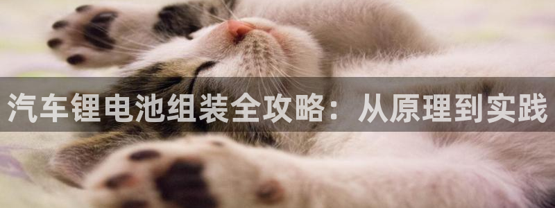 优发国际官方下载app