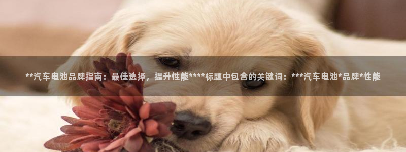 优发国际手机版客户端下载