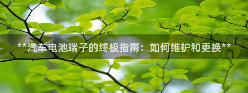 优发国际bob