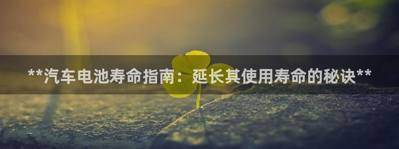 优发国际手机版唯一官网下载