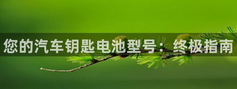 优发国际官网手机版下载安卓