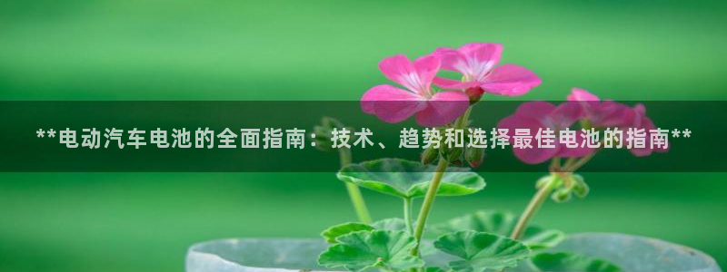 优发国际游戏17