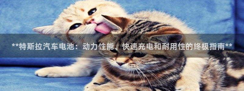 优发国际手机版客户端