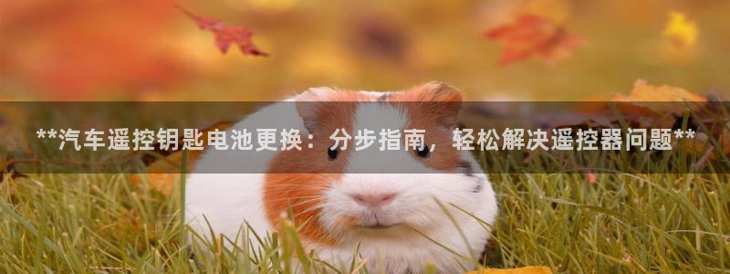 优发国际手机版唯一官网下载