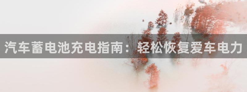 优发国际平台u8怎么样可靠吗