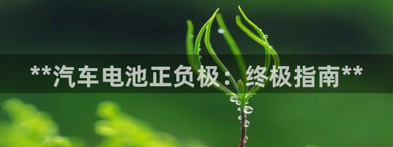 优发国际手机app下载安装苹果