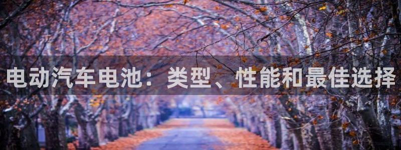优发国际手机客户端下载安装