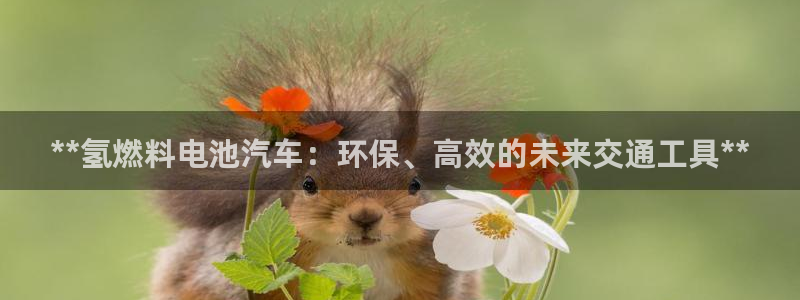 优发国际平台u8