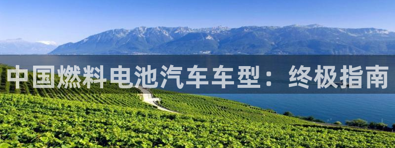 优发国际注册17