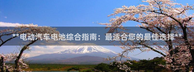 优发国际集团股份有限公司招聘
