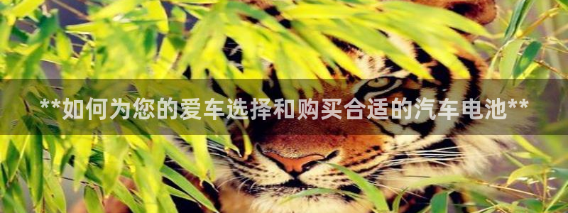 优发国际手机app下载安装苹果
