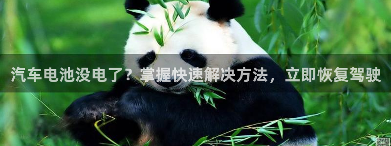 优发国际手机登录下载安装苹果