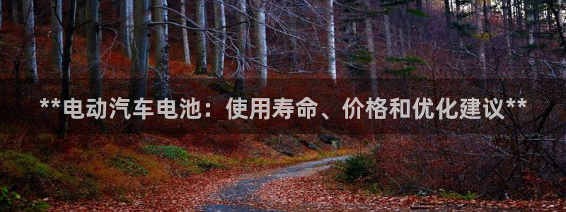 优发国际官方网平台