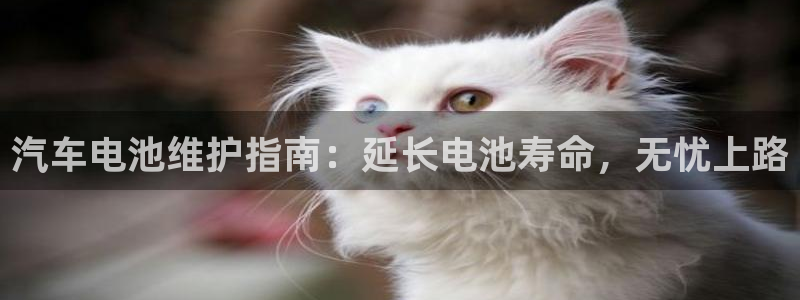 优发国际平台g80