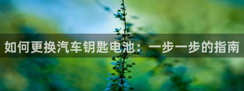 优发国际平台u8怎么样