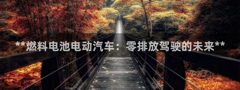 优发国际平台u8怎么样可靠吗